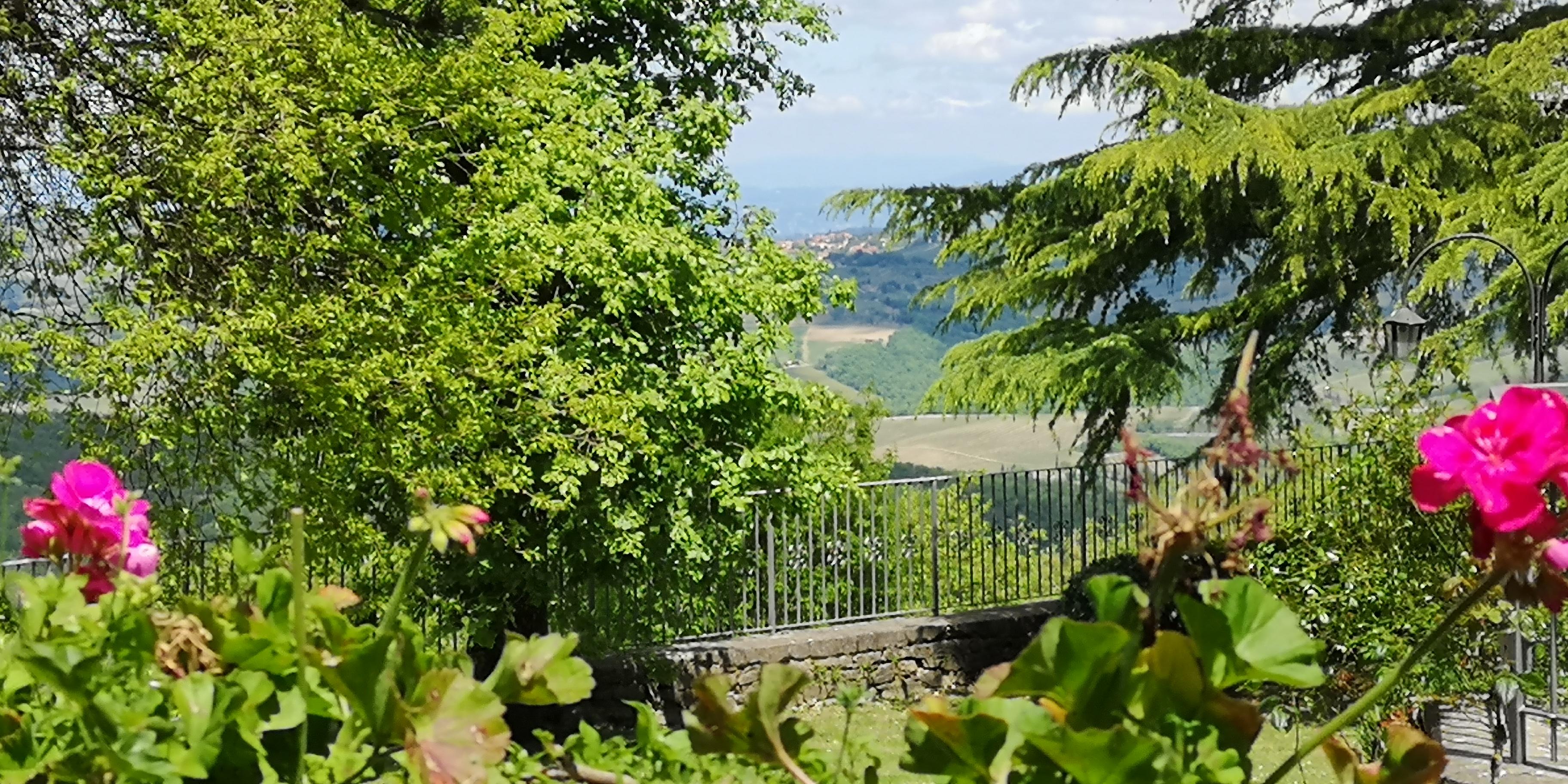 Villa Sant'Uberto Country Inn Radda in Chianti Exterior photo