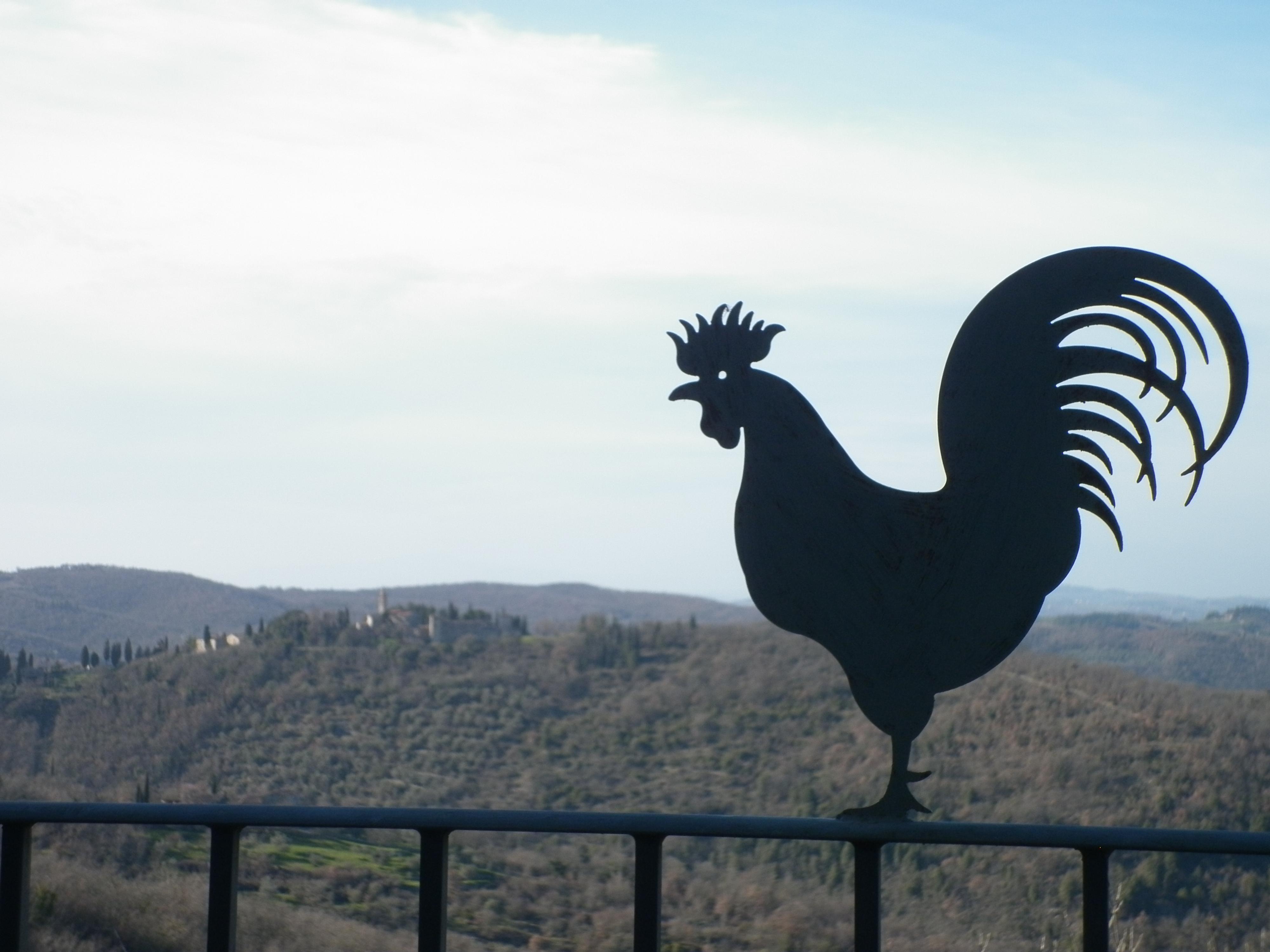 Villa Sant'Uberto Country Inn Radda in Chianti Exterior photo