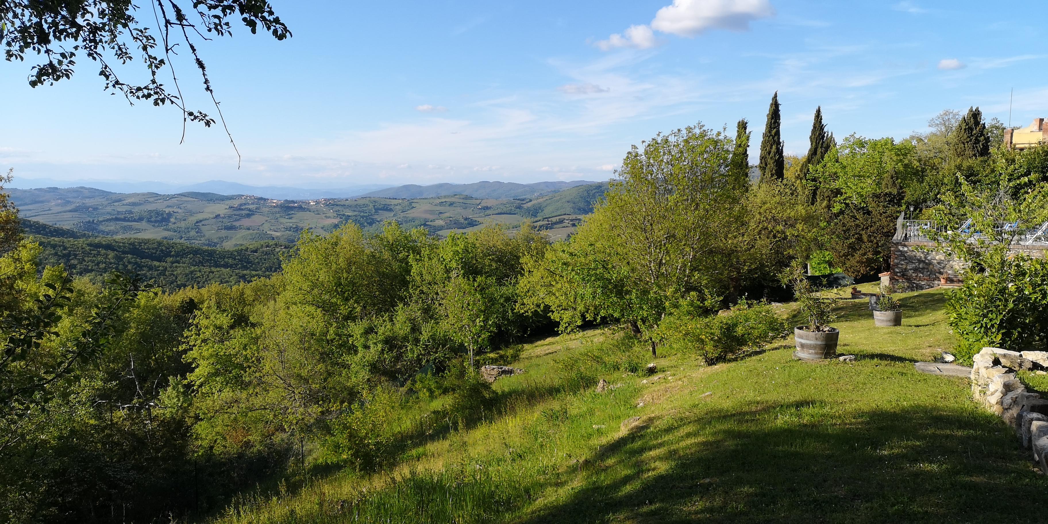 Villa Sant'Uberto Country Inn Radda in Chianti Exterior photo