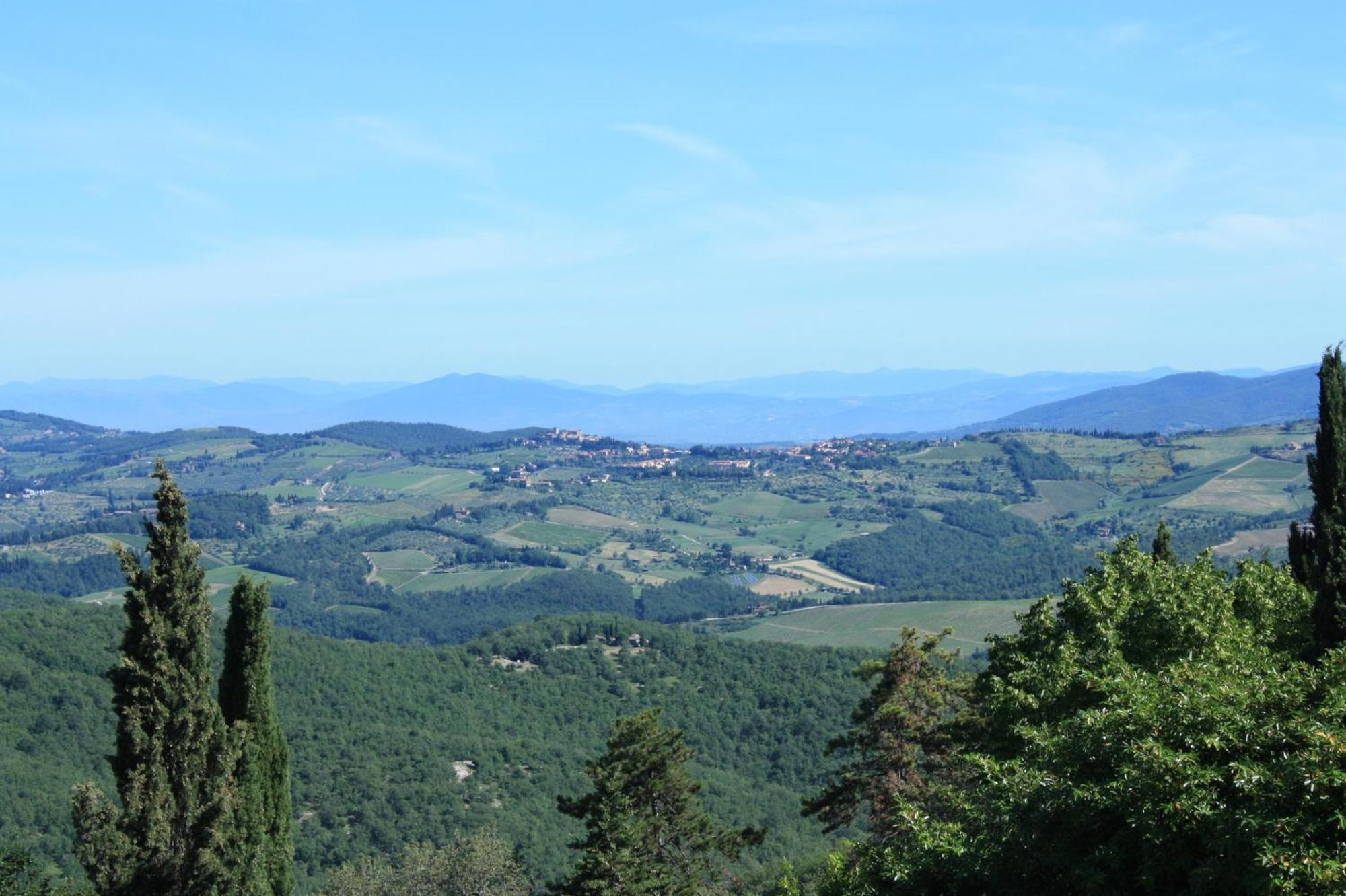 Villa Sant'Uberto Country Inn Radda in Chianti Exterior photo